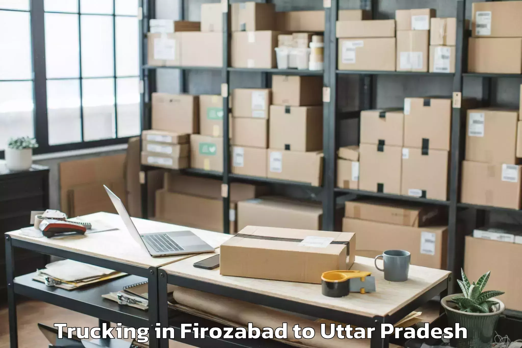 Professional Firozabad to Gursarai Trucking